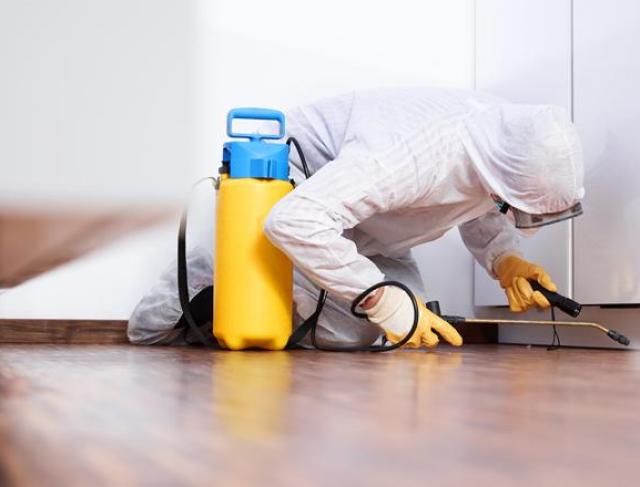 CIP - Controle Integrado de Pragas